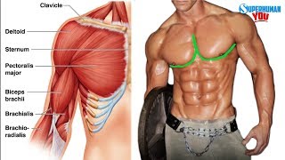 كورس Training PECS 2026