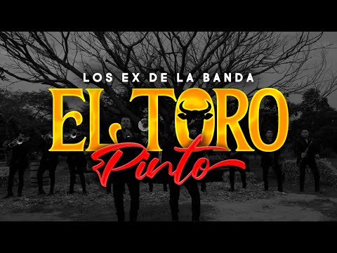 EL TORO PINTO - LOS EX DE LA BANDA (EN VIVO) HD