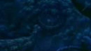 En mi corazon viviras  You'll be in my heart "Phill Collins"