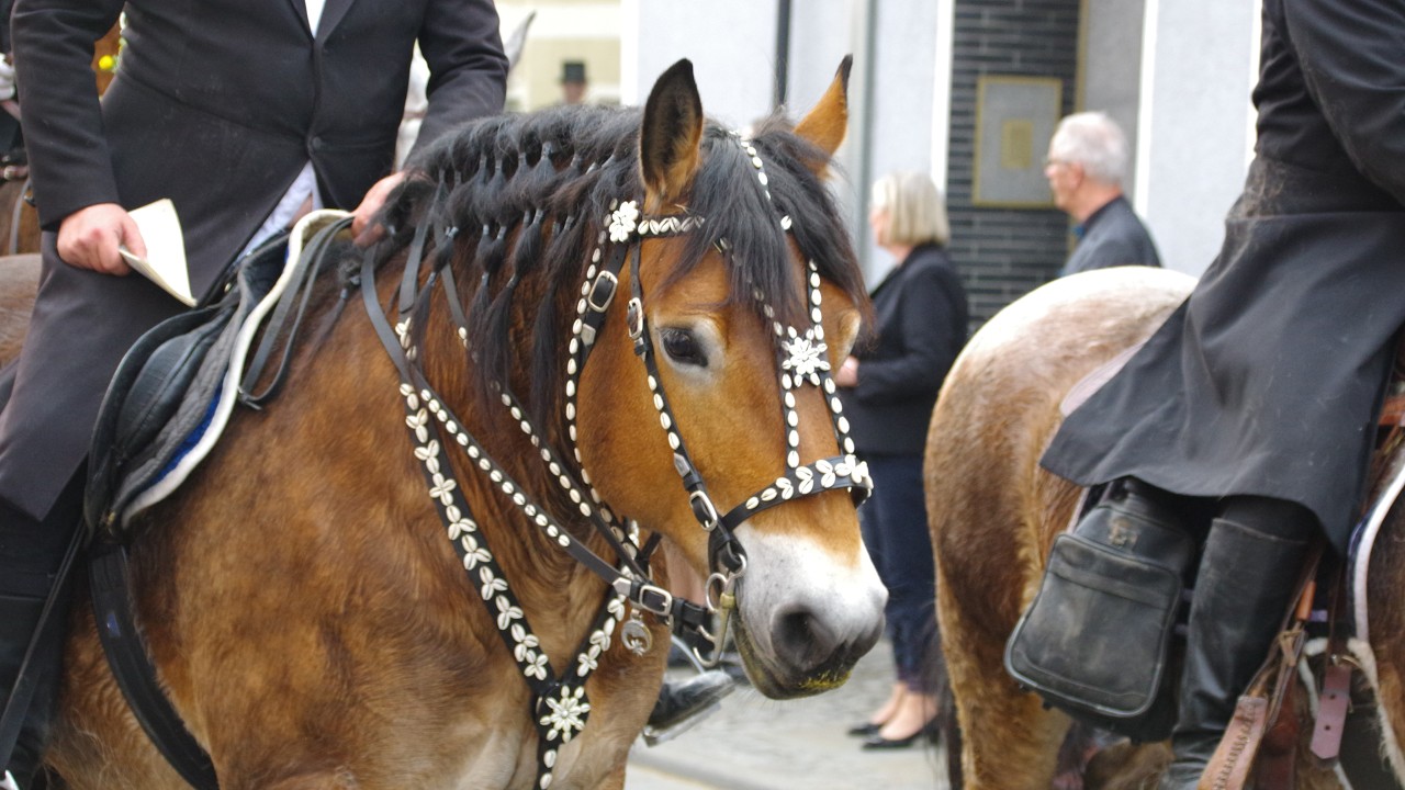 Osterreiten - Wittichenau - 2016