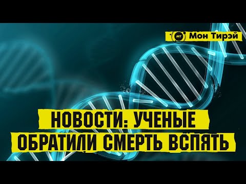 Главные новости науки и технологий