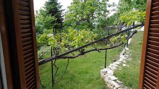 This Mortal Coil-You and your sister