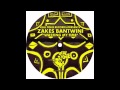 Zakes Bantwini Wasting My Time Franck Roger Remix