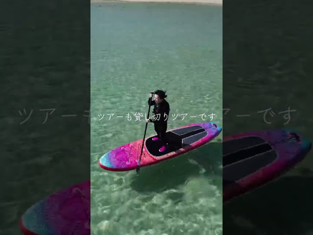 イケメンパラダイス　宮古島