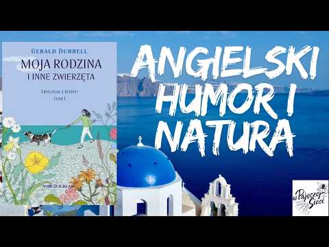 video - opinia