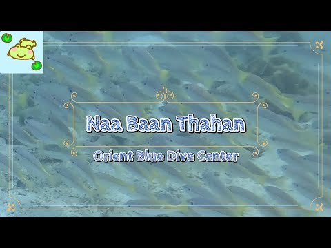 Naa Baan Thahan #9