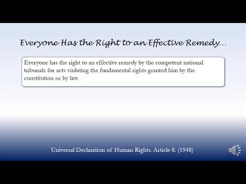 Everyone Has the Right to an Effective Remedy… (1948)