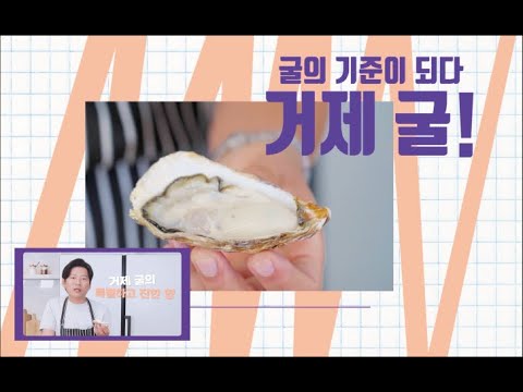굴의 기준이 되다 거제 굴 (강레오 셰프도 반한 맛 거제 굴!!)