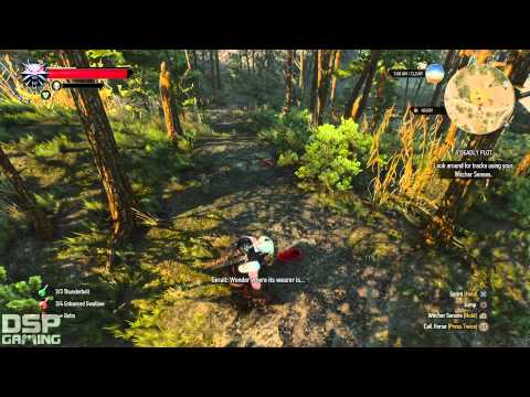 The Witcher 3 (PS4) playthrough pt97 - Cave Troll Kidnapping