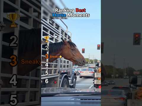 Ranking Best Horse Moments