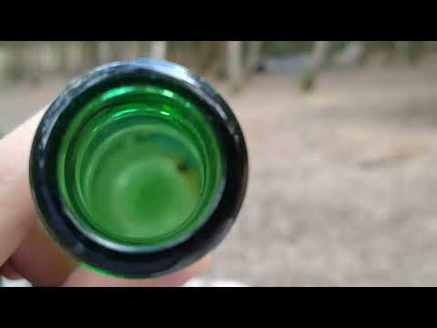 video frame placeholder