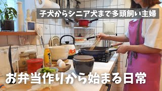 50代主婦と3匹の犬との暮らし / 息子に作る簡単弁当 / 四毒抜き / 主婦の1日のごはん / 犬との暮らし / トイプードル / ビションフリーゼ