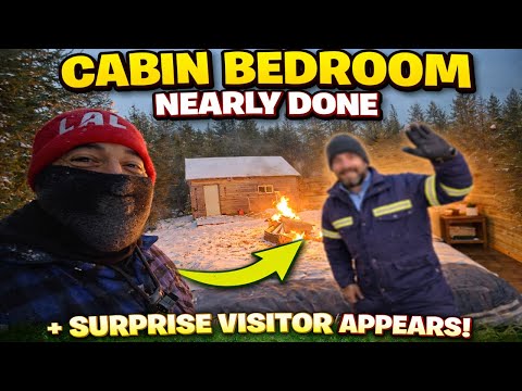 CABIN GOT A NEW POWER UPGRADE + SURPRISE VISITOR APPEARS FOR THE FIRST TIME