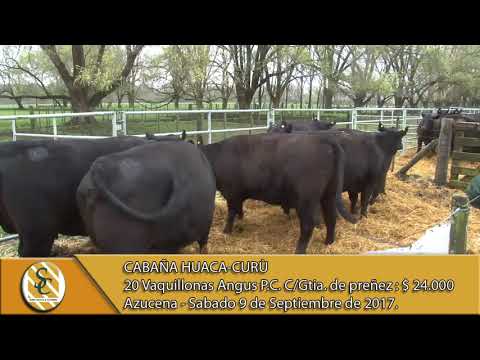 09-09-17 Venta de Vaquillonas P.C. y P.R. - Cabaña Huaca Curù - Azucena.
