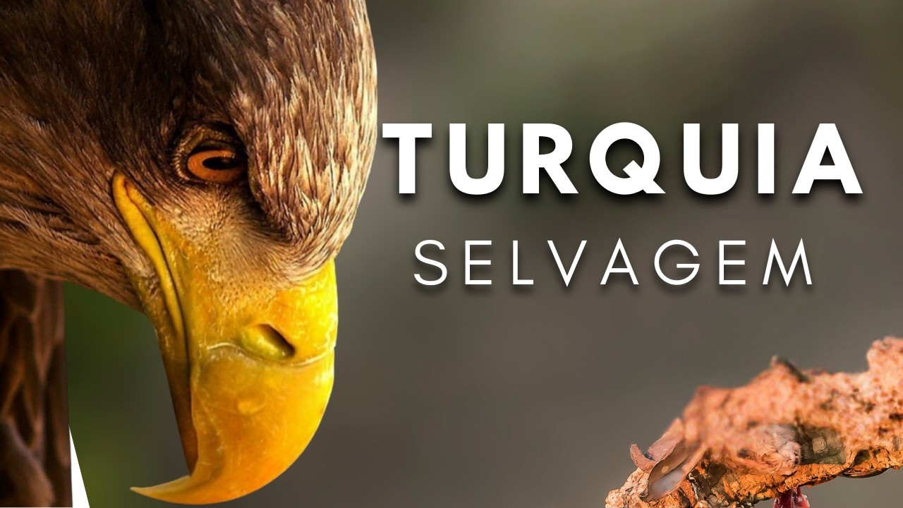 TURKEY: Untamed Land [Full Documentary]