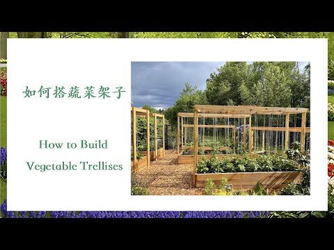, title : '【养花·种菜】026 DIY 如何搭蔬菜架子 How to build vegetable trellises 蔬菜架子的三种搭法和各自的优缺点'