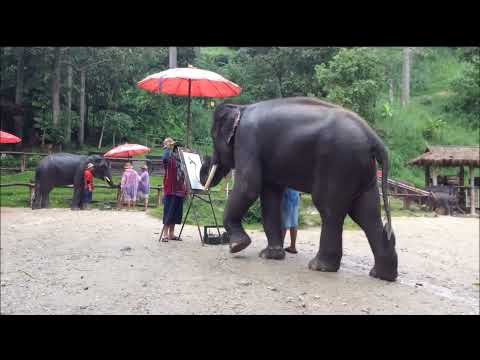 Was müssen das für Bäume sein?