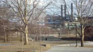 Clover Field (Original)