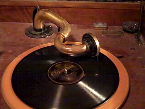 BEN SELVIN RADIOLITES - THE SONG IS ENDED - ROARING 20'S VICTROLA 8-30