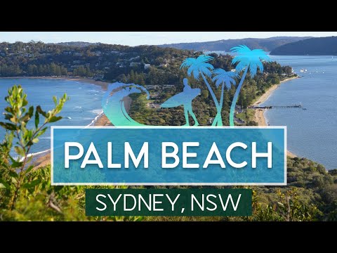 [4K] Palm Beach | Iconic Sydney Beach with Epic Views