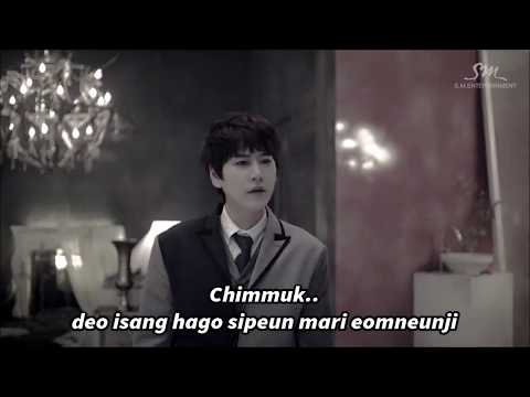 SUPER JUNIOR - EVANESCE KARAOKE