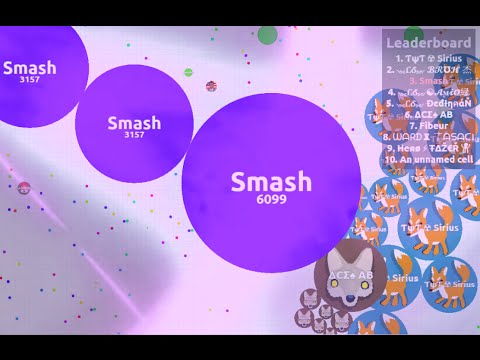 DESTROYING TEAMS IN AGAR.IO - SOLO AGARIO GAMEPLAY ( Highlights )