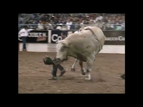 Promise Land bucks Nick T. Buckley - 99 PBR Albuquerque