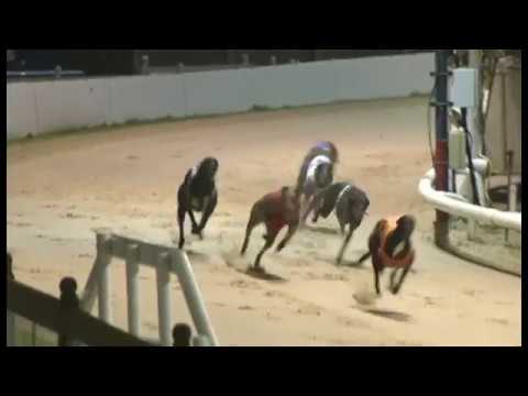 Avastorm - Mitch Millward Marathon - Heat 1