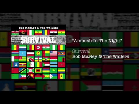 Ambush In The Night (1979) - Bob Marley & The Wailers
