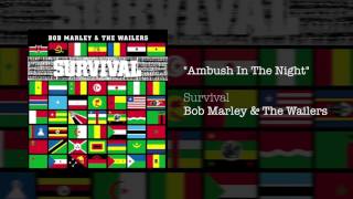 &quot;Ambush In The Night&quot; - Bob Marley &amp; The Wailers | Survival (1979)