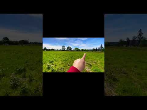 Hermosa Parcelas a Minutos de Centro de Lanco, Región de Los Rios.