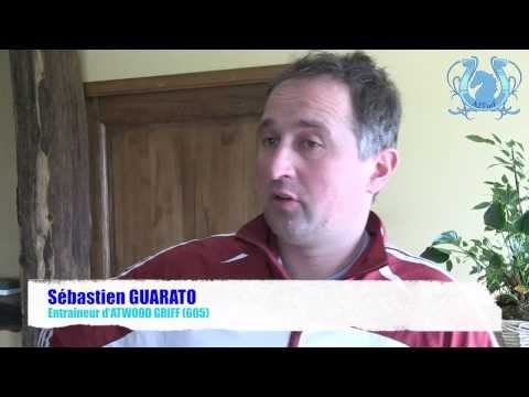 Les chances d'ATWOOD GRIFF (605) dans le Prix des Centaures dimanche à Vincennes - A2TURF.COM VIDEO