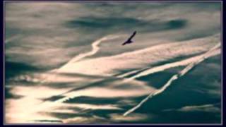 Les Oiseaux 1 (Daniel Balavoine) By Nathalie.