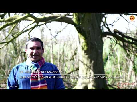 Yoga FAQ 138 | What are the components of breathing and their benefits?