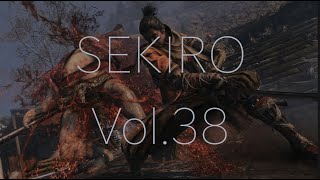 【隻狼/SEKIRO】忍びを極める実況Part.38〜いろいろ闘う編〜PS4Pro高画質【せきろう/よにんぼっち】