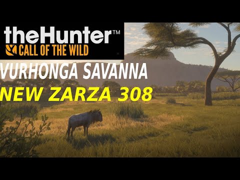 Hunting Vurhonga Savanna With The New Zarza 308