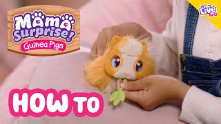 Little Live Pets | Mama Surprise | How To Care & Play