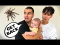 Protecting Our Son From A GIANT SPIDER!