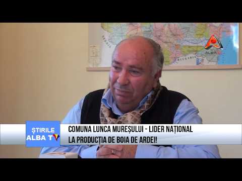 COMUNA LUNCA MURESULUI   LIDER NATIONAL LA PRODUCTIA DE BOIA DE ARDEI