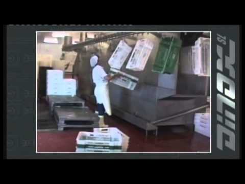 Dinox G-5/A/E - Túnel de lavado aéreo de cajas