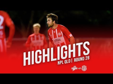 NPL QLD 2019 Round 28 - Brisbane Strikers vs Olympic FC Highlights