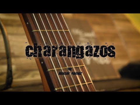 CHARANGAZOS 🎶 Polkeros del Yi