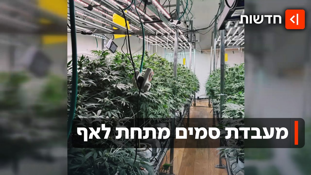 בלב פתח תקווה: תיעוד ממעבדת הסמים שהסתתרה בדירת 4 חדרים