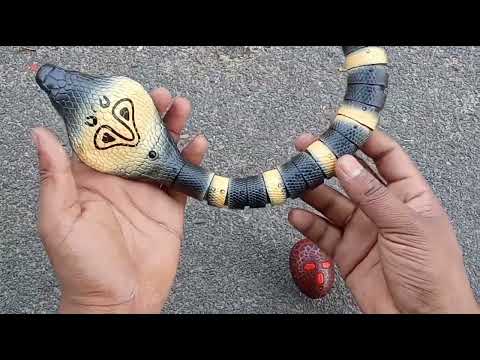 RC Fastest Naja Black King Cobra Unboxing & Testing Rohan Toys World