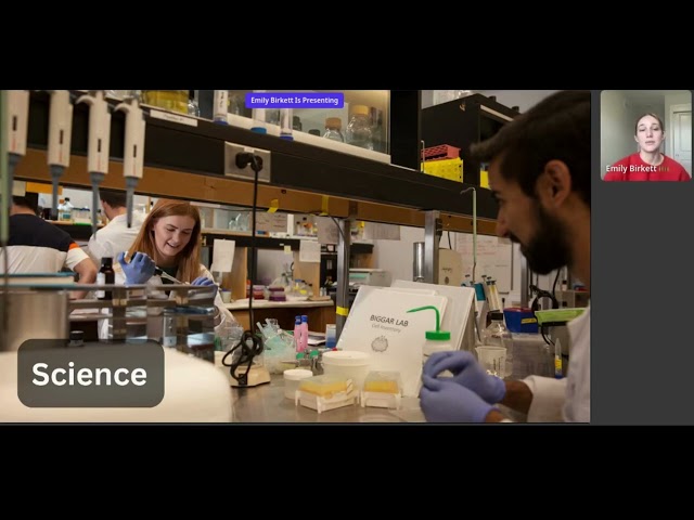 Watch Video: International Open House Replays – How to Choose Your Program