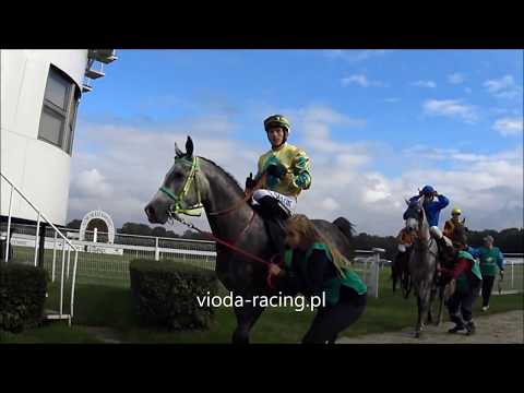 Gon. IV - 7.10.2017 - Arion (Lawrence El Gazal - Atma)