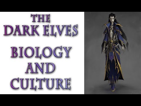 Warhammer Fantasy Lore - The Dark Elves, Biology and Culture