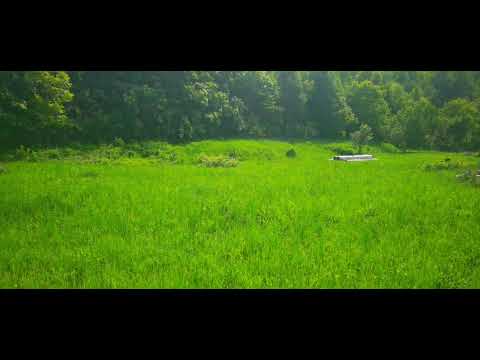 Teren de vanzare Breaza 1314MP