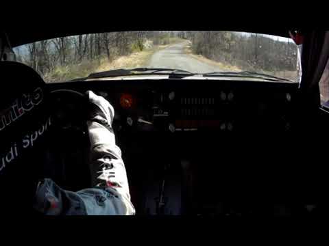 Zivian "Zippo" - Test Audi Quattro Gr4 2019