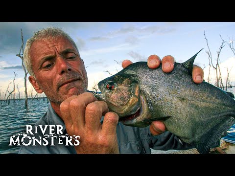River Monsters Full Episode - Season 1, Episode 1 - Piranha